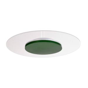 Deko-Light Zaniah LED ceiling light, 360° light, 24 W, gree…