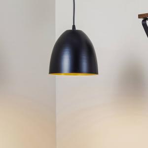 EMIBIG LIGHTING Lenox hanging light, one-bulb, black/gold