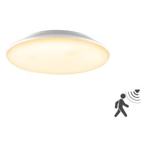EVN Catino LED ceiling light, sensor, 30 cm