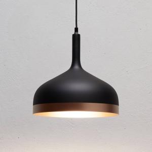 Paulmann Ultra modern hanging light Embla in black