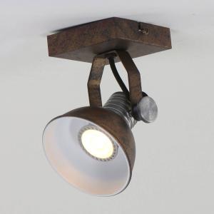 Steinhauer Brooklyn LED spotlight one-bulb brown