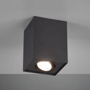 Trio Lighting Biscuit ceiling light, one-bulb, black
