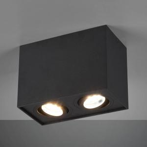 Trio Lighting Biscuit ceiling light, two-bulb, black