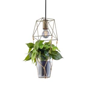 Trio Lighting Plant hanging lamp, 1-bulb, glass inset