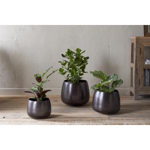 nkuku Maliki Plant Pot